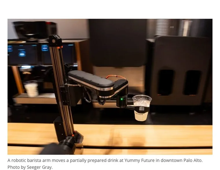 Palo Alto Online article page