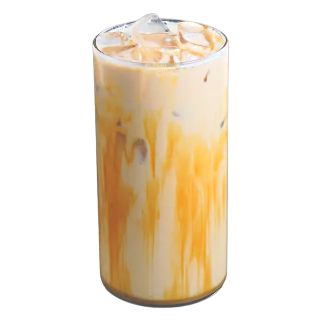 Iced Caramel Macchiato